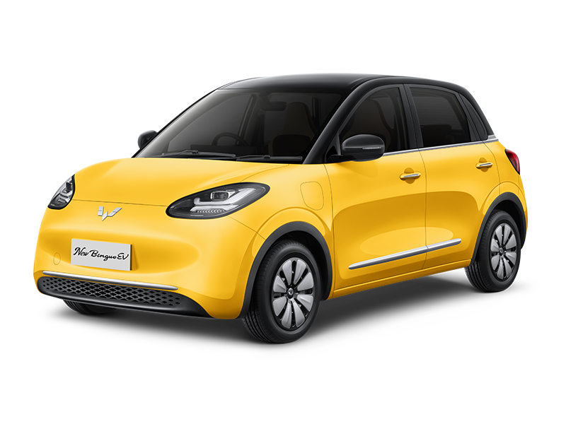 Binguo SUV thumbnail 2