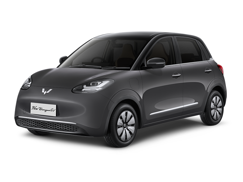 Binguo SUV thumbnail 5