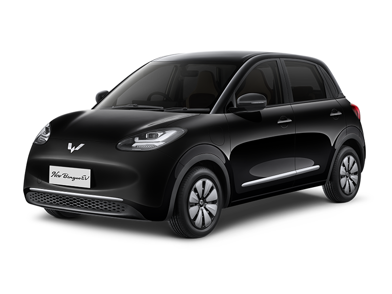 Binguo SUV thumbnail 6